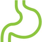 胃部のイメージ画像