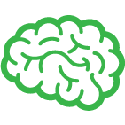 脳のイメージ画像