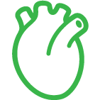 心臟のイメージ画像